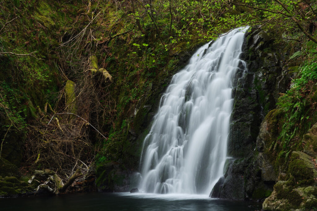 Glenoe Waterfall, Northern Ireland